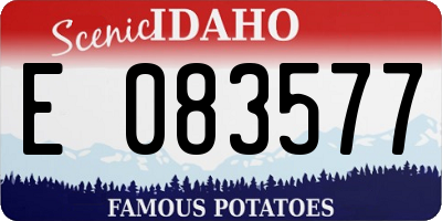 ID license plate E083577