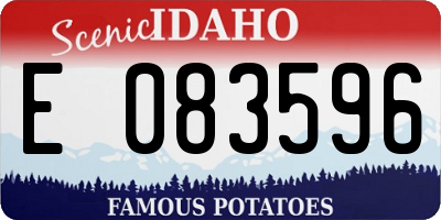 ID license plate E083596