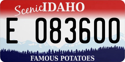 ID license plate E083600
