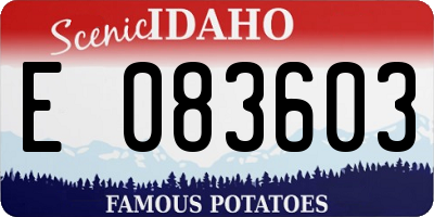 ID license plate E083603