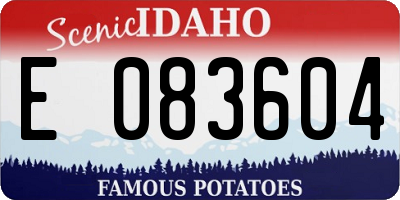 ID license plate E083604
