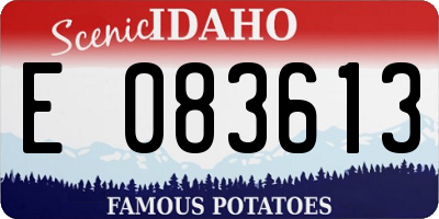 ID license plate E083613