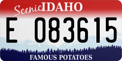 ID license plate E083615