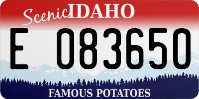 ID license plate E083650