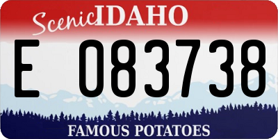 ID license plate E083738