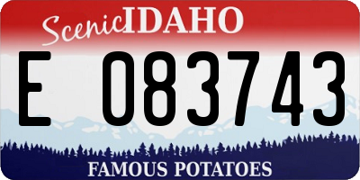 ID license plate E083743