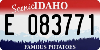 ID license plate E083771