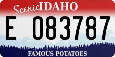 ID license plate E083787