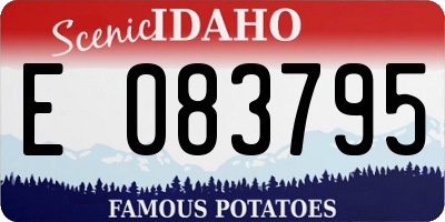 ID license plate E083795