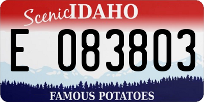 ID license plate E083803