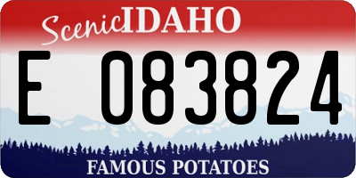 ID license plate E083824