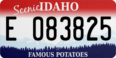 ID license plate E083825
