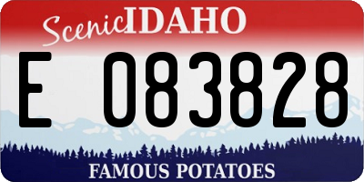 ID license plate E083828