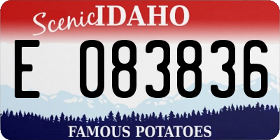 ID license plate E083836