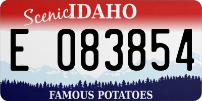 ID license plate E083854
