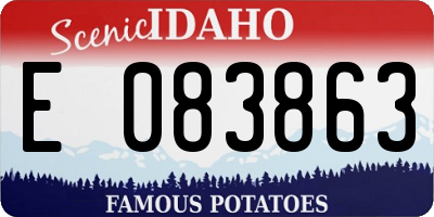 ID license plate E083863