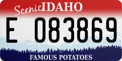 ID license plate E083869