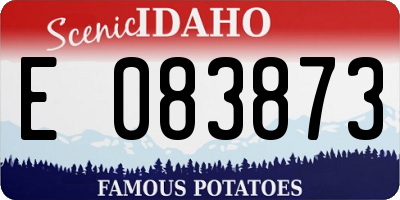 ID license plate E083873