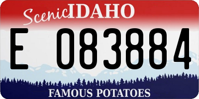ID license plate E083884