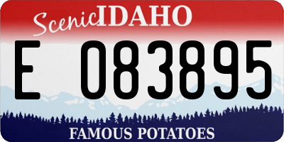 ID license plate E083895