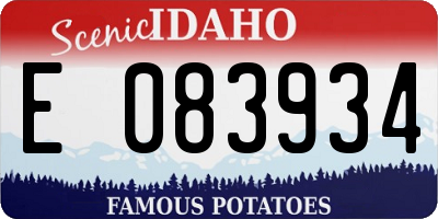 ID license plate E083934