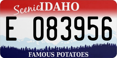 ID license plate E083956