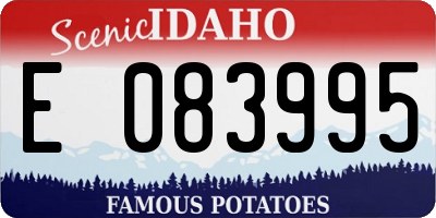 ID license plate E083995