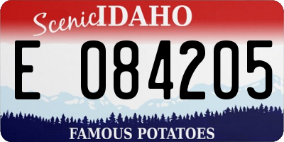 ID license plate E084205