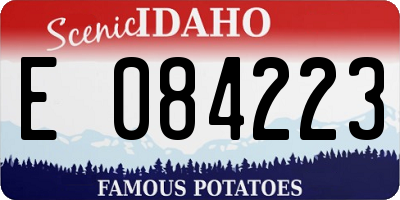 ID license plate E084223