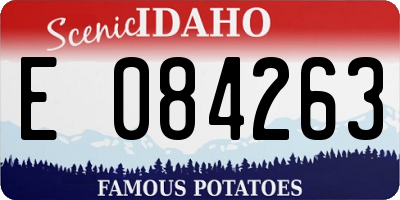 ID license plate E084263