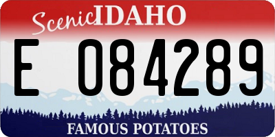 ID license plate E084289