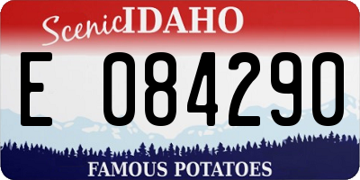 ID license plate E084290