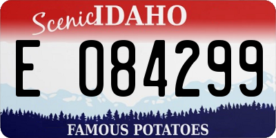 ID license plate E084299