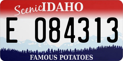 ID license plate E084313
