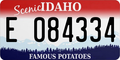 ID license plate E084334