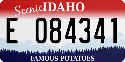ID license plate E084341
