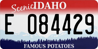 ID license plate E084429