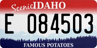 ID license plate E084503