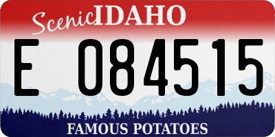 ID license plate E084515