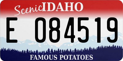 ID license plate E084519