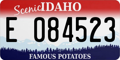 ID license plate E084523