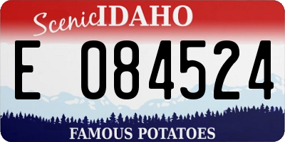 ID license plate E084524