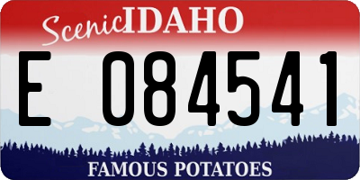 ID license plate E084541