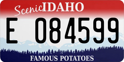 ID license plate E084599