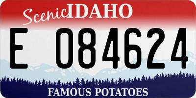 ID license plate E084624
