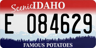ID license plate E084629