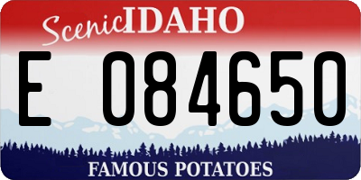 ID license plate E084650