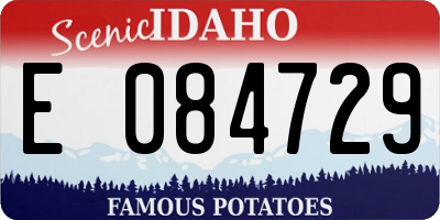 ID license plate E084729