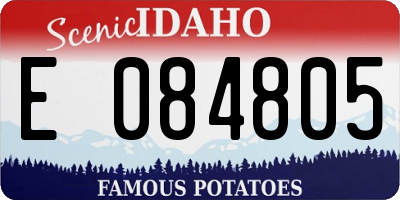 ID license plate E084805
