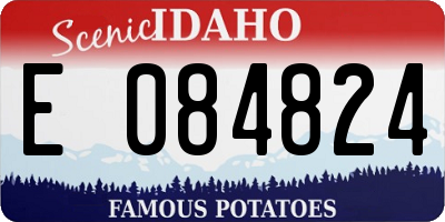 ID license plate E084824